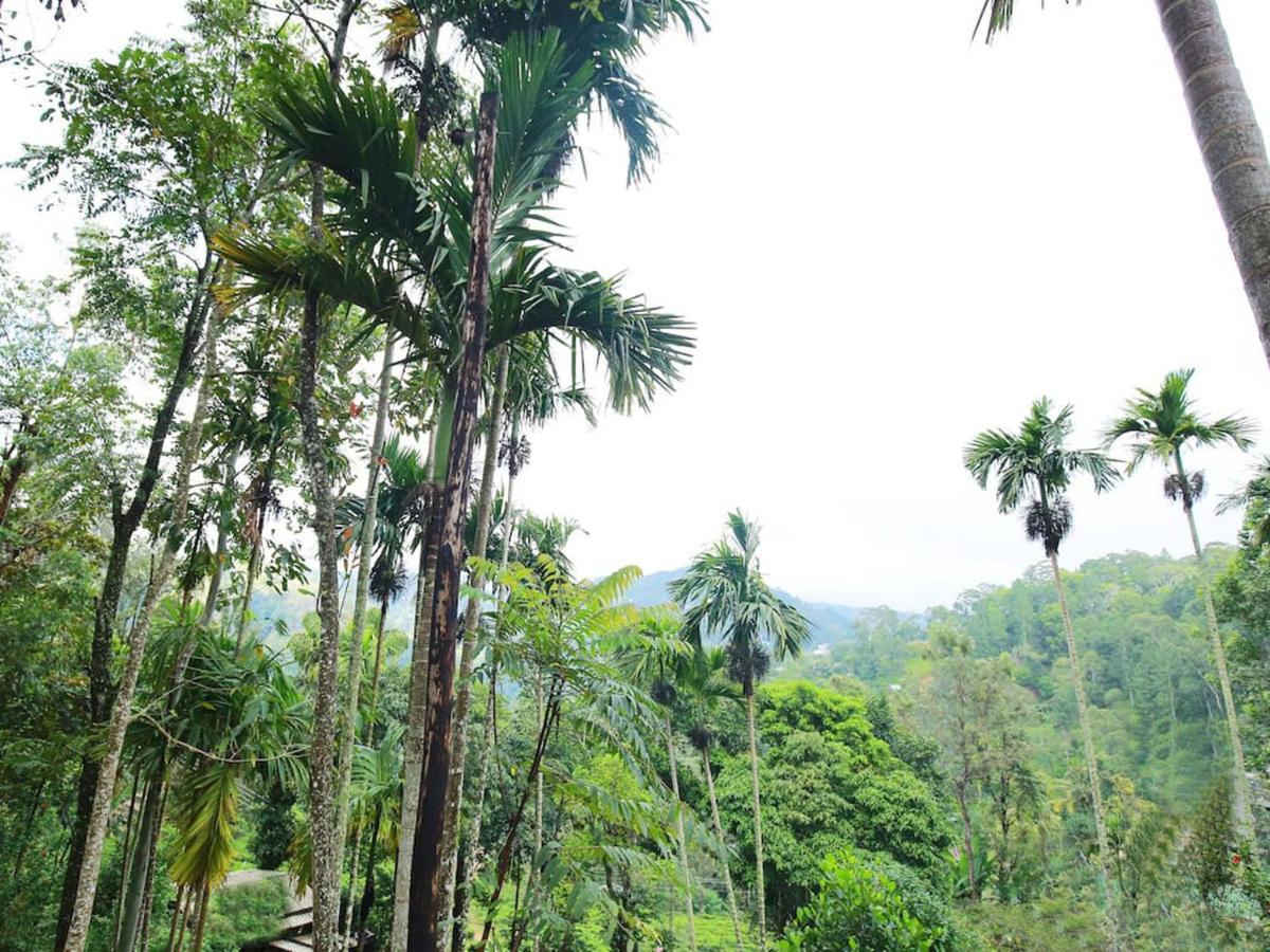 The Spice Lodge Ella Luaran gambar